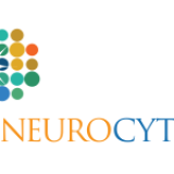 NeuroCytonix conclui ensaio clínico de seu tratamento NeuroCytotron para paralisia cerebral.
